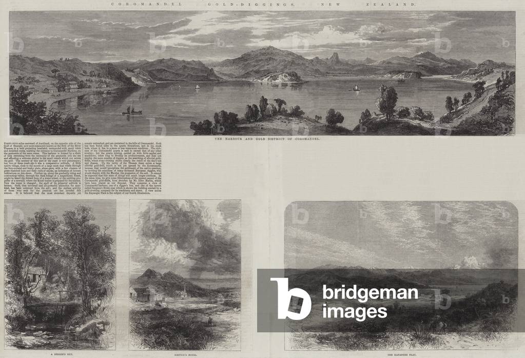 Coromandel Gold-Diggings, New Zealand (engraving)