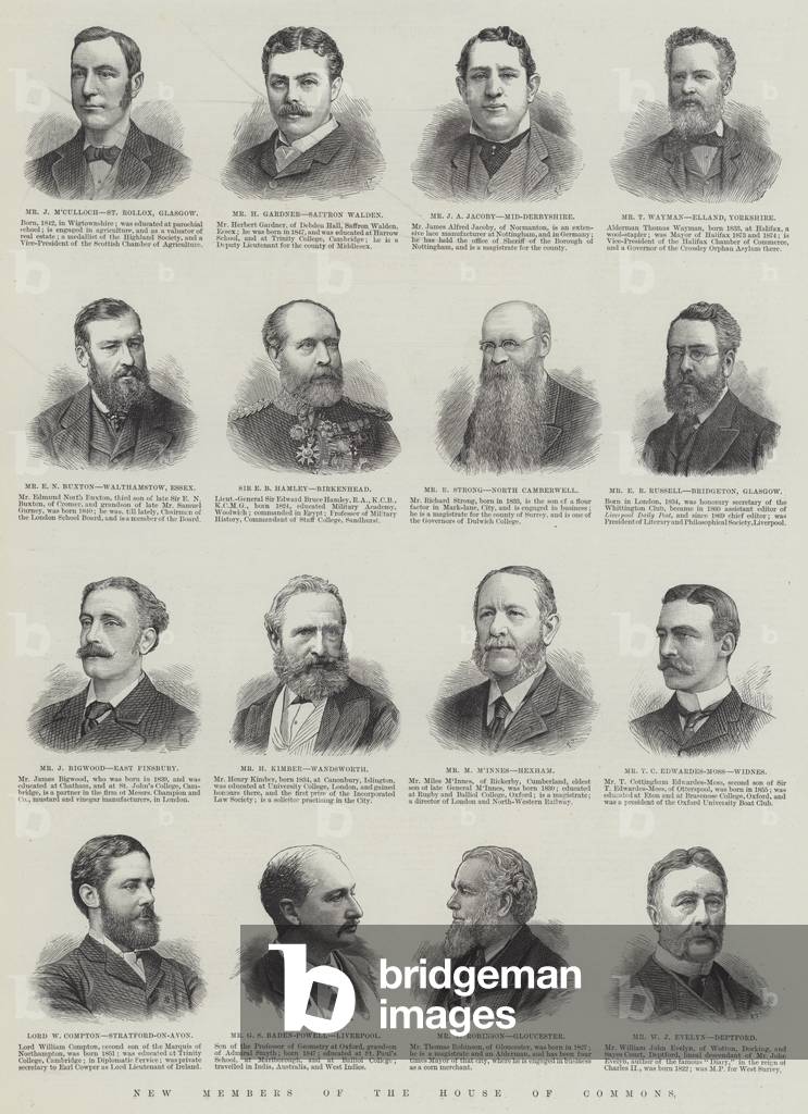 New Members of the House of Commons (engraving)