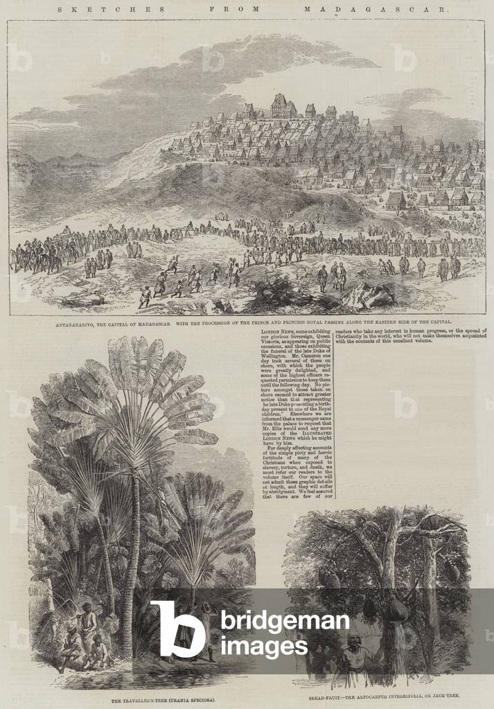 Sketches from Madagascar (engraving)