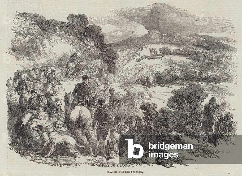 Bear-Hunt in the Pyrenees (engraving)