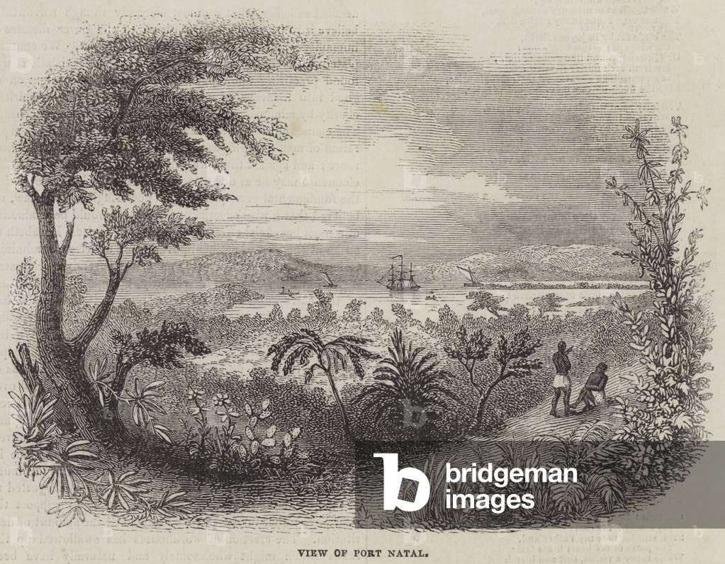 View of Port Natal (engraving)