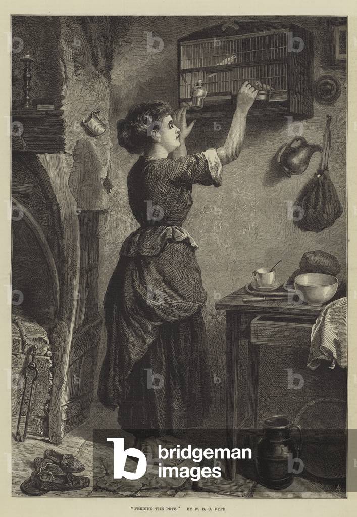 Feeding the Pets (engraving)