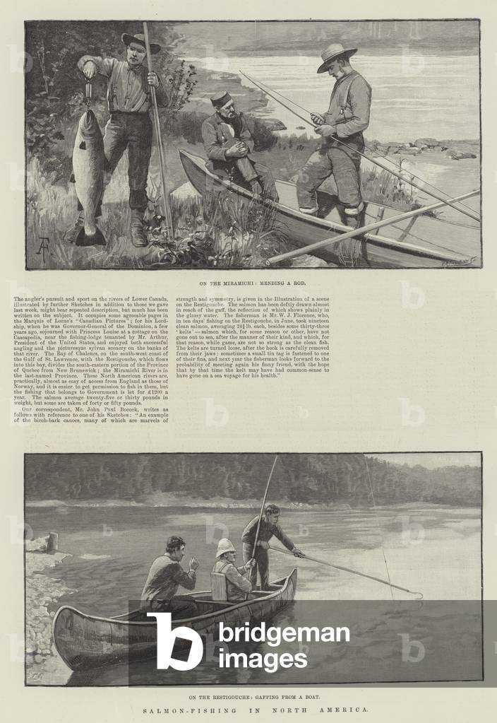 Salmon-Fishing in North America (engraving)