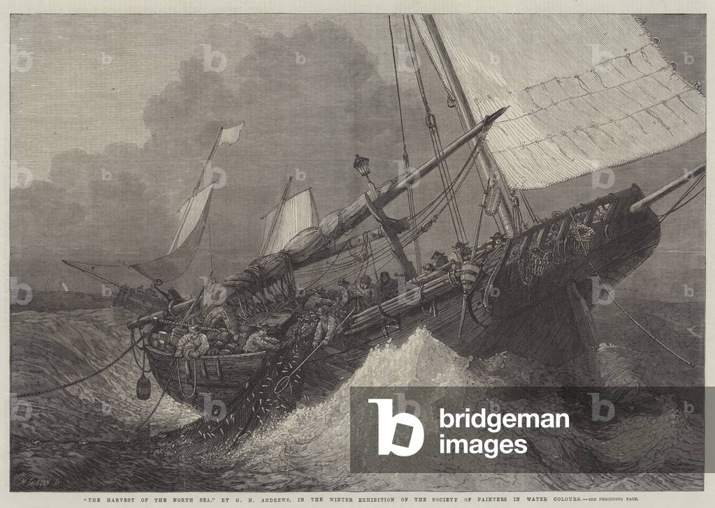 The Harvest of the North Sea (engraving)
