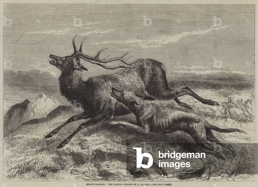 Deer-Stalking, the Chace (engraving)