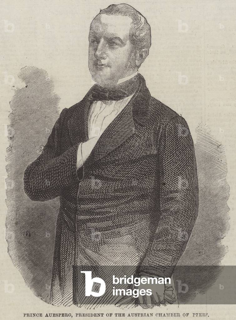 Prince Auesperg, President of the Austrian Chamber of Peers (engraving)