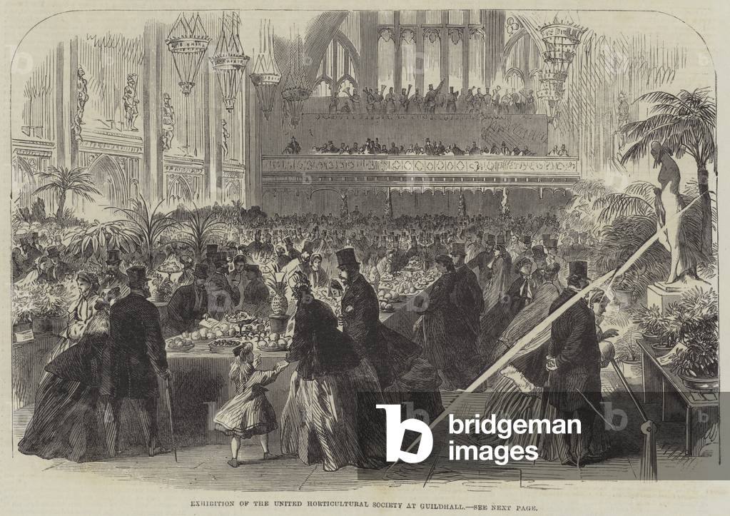 Exhibition of the United Horticultural Society at Guildhall (engraving)