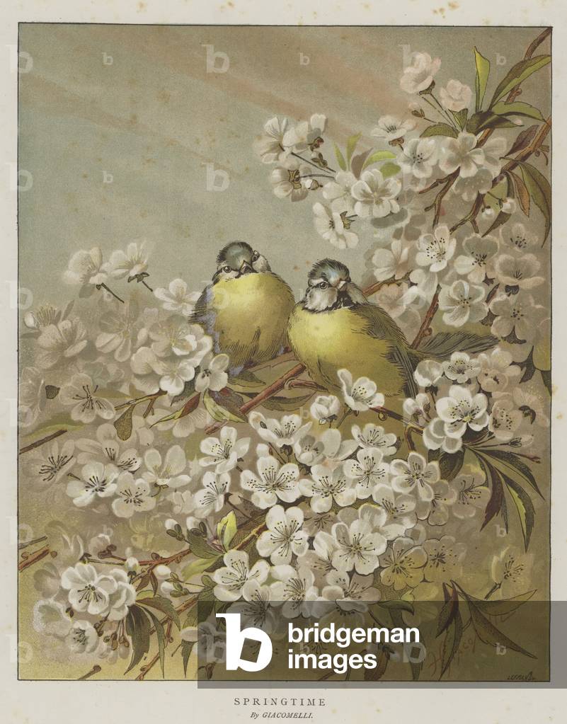 Springtime (chromolitho)