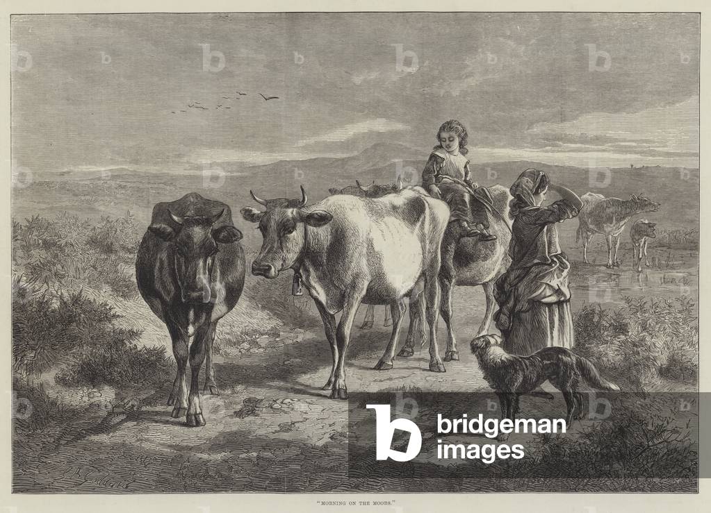 Morning on the Moors (engraving)