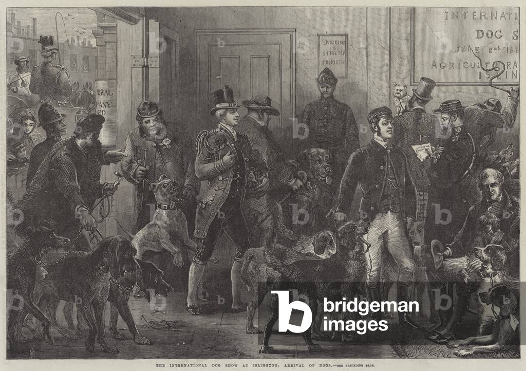 The International Dog Show at Islington, Arrival of Dogs (engraving)