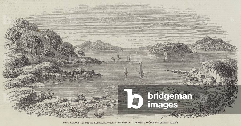 Port Lincoln, in South Australia (engraving)