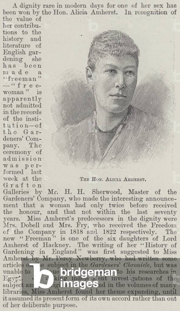 The Honourable Alicia Amherst (engraving)