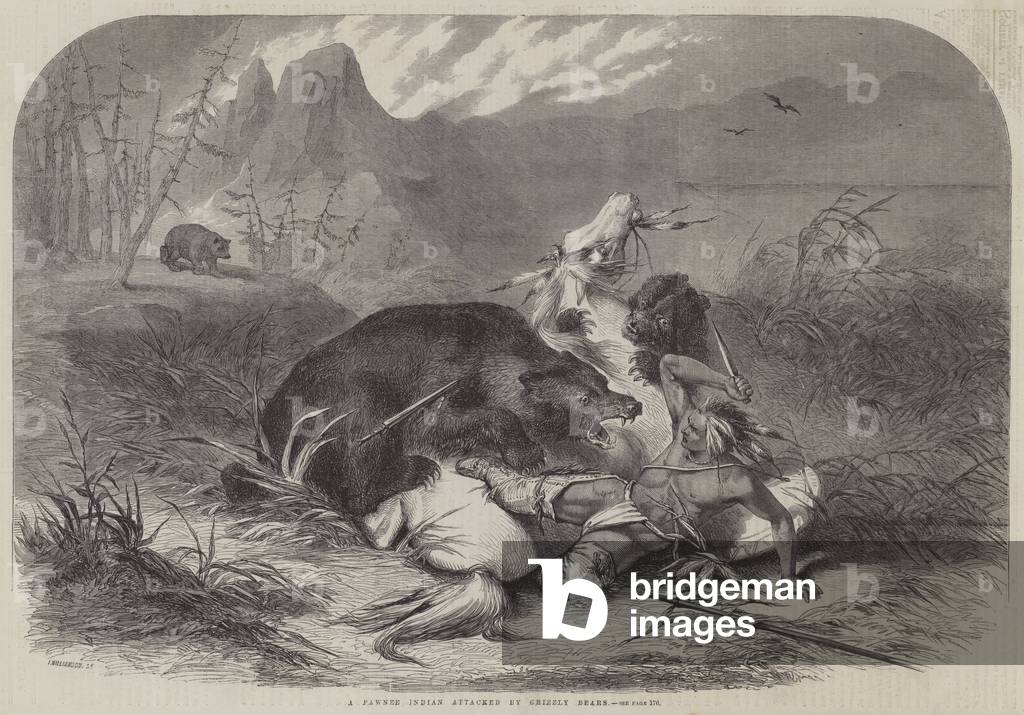 A Pawnee Indian attacked by Grizzly Bears (engraving)