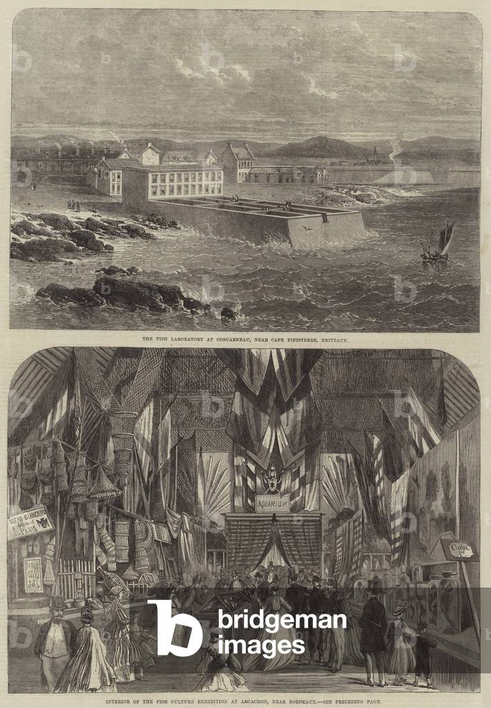 Fishing in France (engraving)