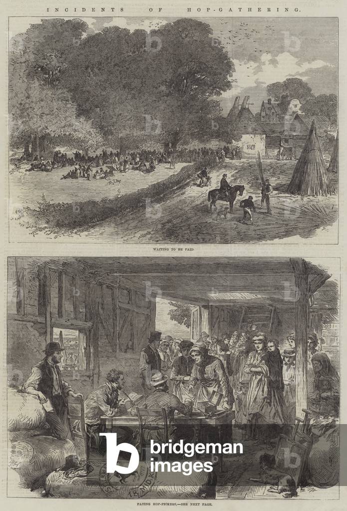 Incidents of Hop-Gathering (engraving)