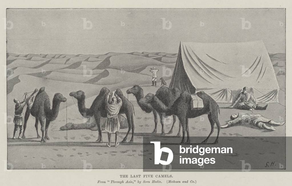 The Last Five Camels (litho)