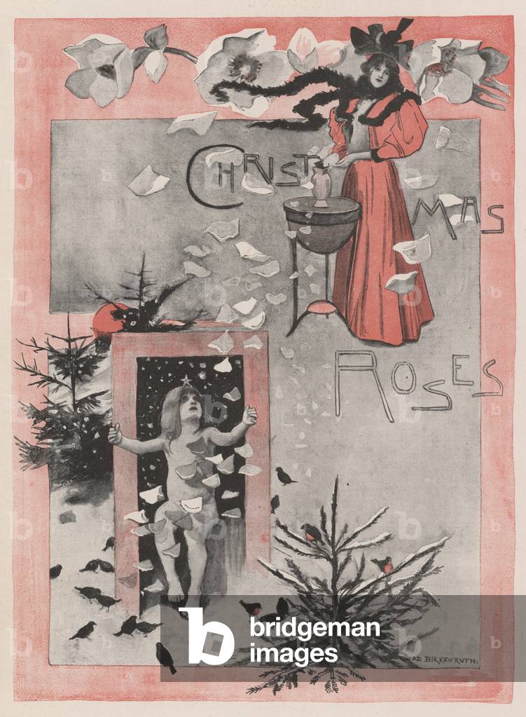 Christmas Roses (colour litho)