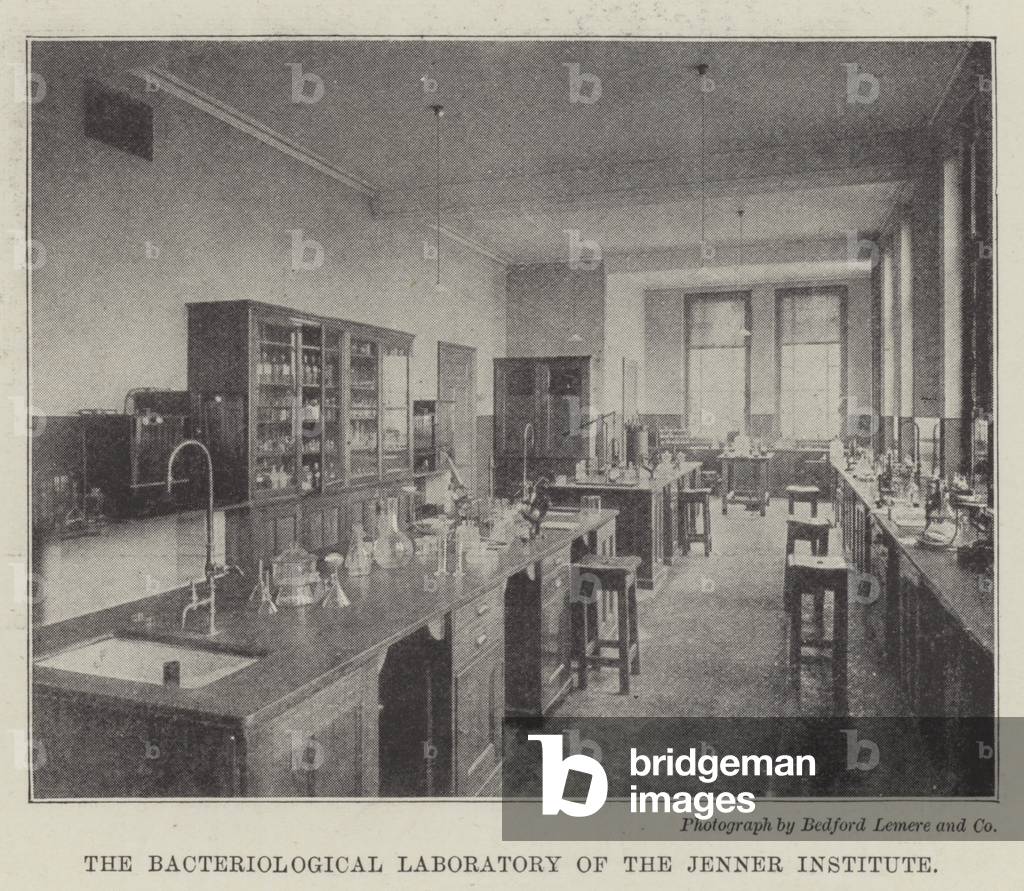 The Bacteriological Laboratory of the Jenner Institute (b/w photo)