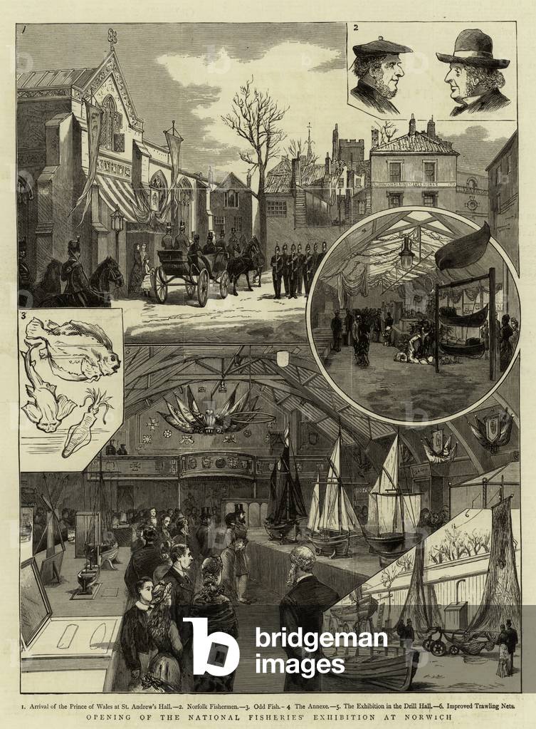 Opening of the National Fisheries' Exhibition at Norwich (engraving)
