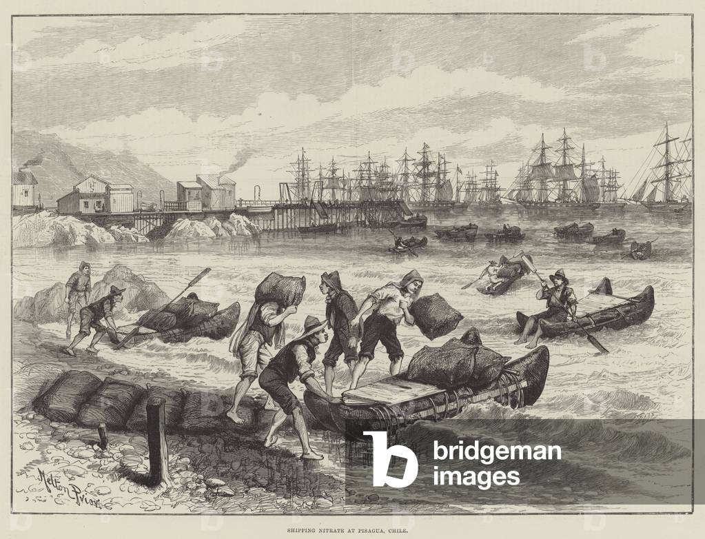 Shipping Nitrate at Pisagua, Chile (engraving)