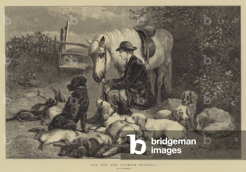 Dog Boy and Clumber Spaniels (engraving)