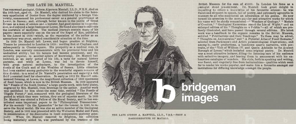The late Gideon A Mantell, LLD, FRS (engraving)