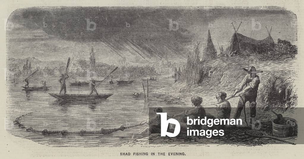 Shad Fishing in the Evening (engraving)