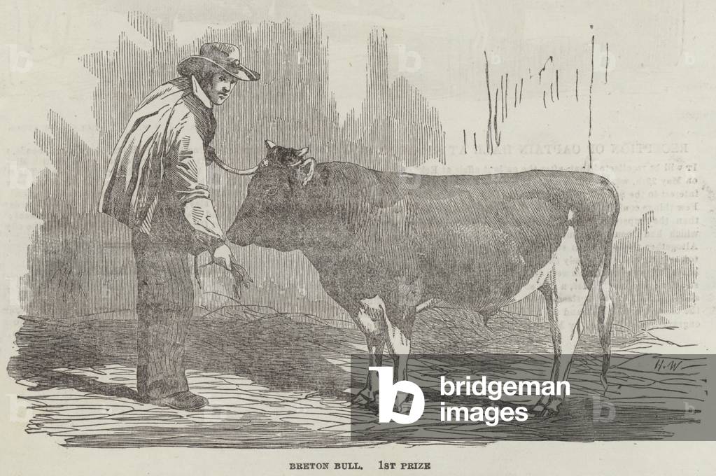 The Agricultural Exhibition of France (engraving)