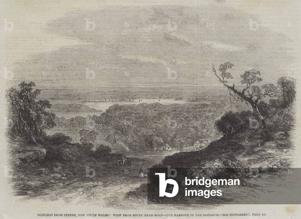 Sketches from Sydney, New South Wales, View from South Head Road, the Harbour in the Distance (engraving)