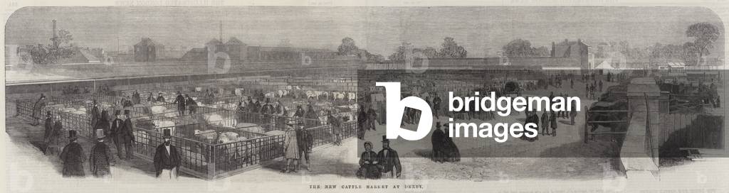 The New Cattle Market at Derby (engraving)