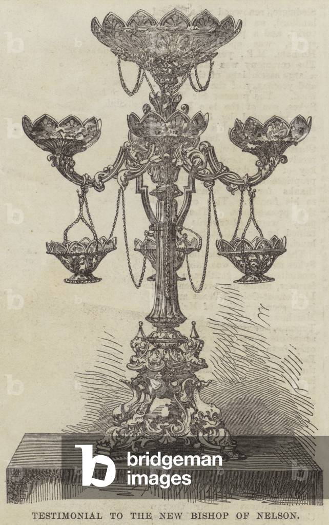 Testimonial to the New Bishop of Nelson (engraving)