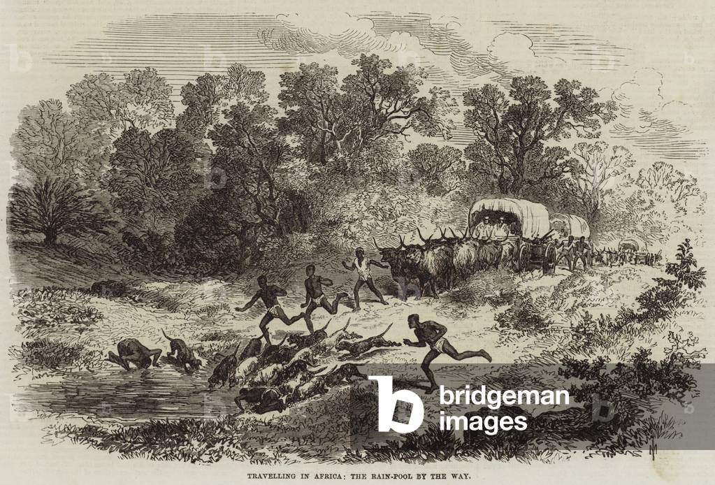 Travelling in Africa, the Rain-Pool by the Way (engraving)