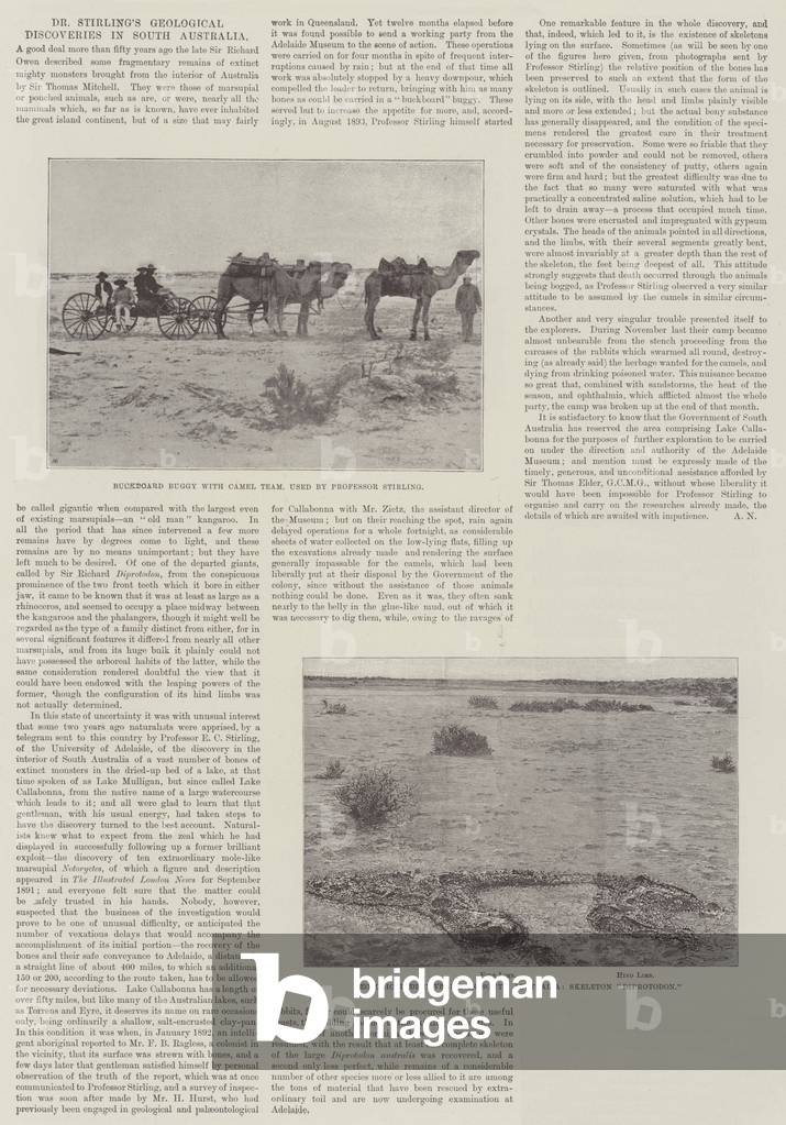Dr Stirling's Geological Discoveries in South Australia (engraving)