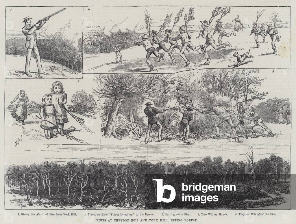 Fires at Theydon Bois and York Hill, Epping Forest (engraving)