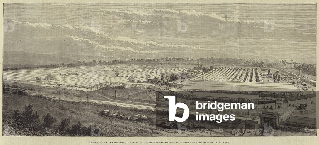 International Exhibition of the Royal Agricultural Society in London, the Show-Yard at Kilburn (engraving)