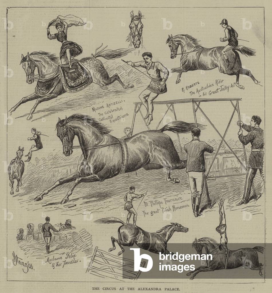 The Circus at the Alexandra Palace (engraving)