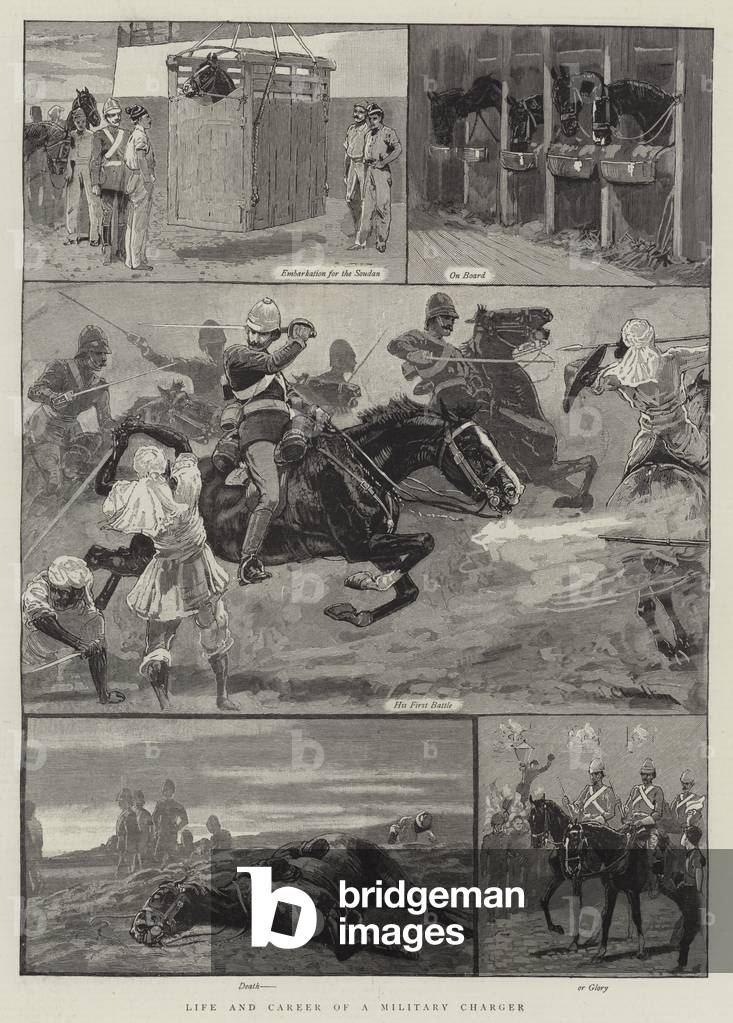 Life and Career of a Military Charger (engraving)