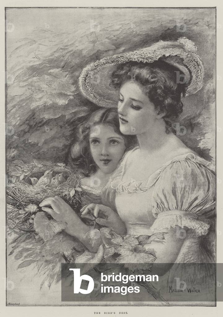 The Bird's Nest (engraving)