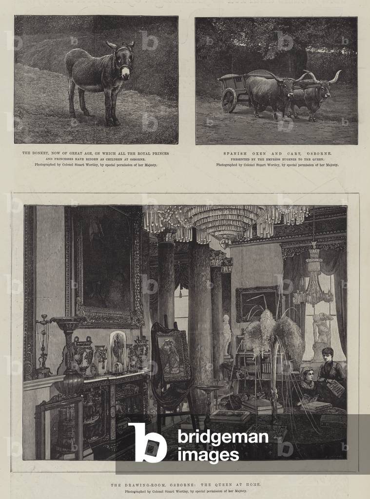 Sketches at Osborne (engraving)