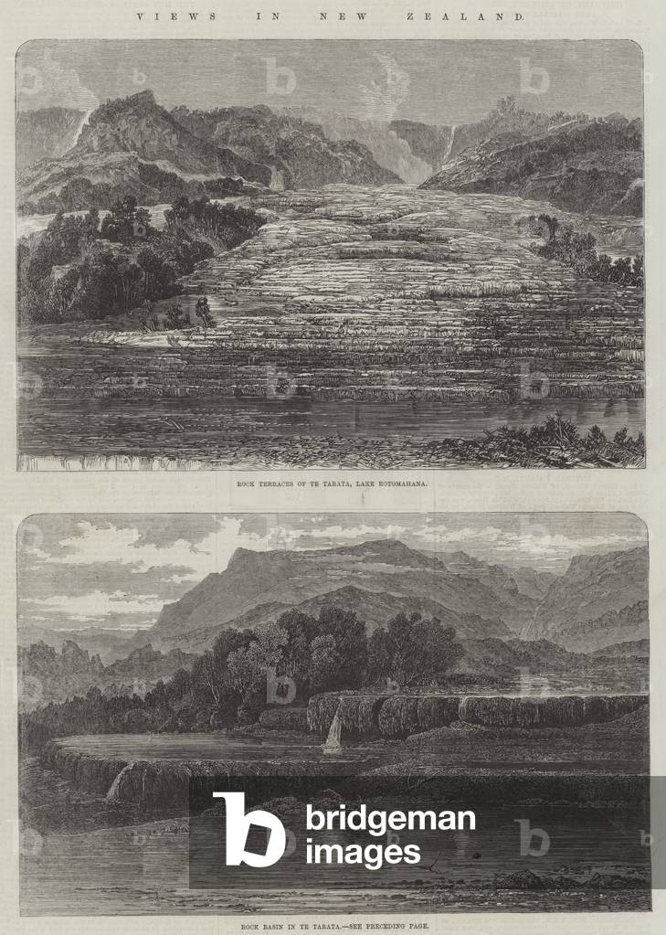 Views in New Zealand (engraving)