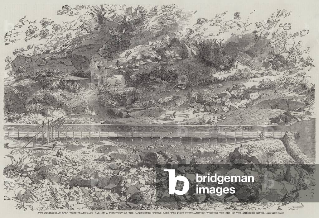 The Californian Gold District, Kanaha Bar, on a Tributary of the Sacramento, where Gold was first found, Miners working the Bed of the American River (engraving)