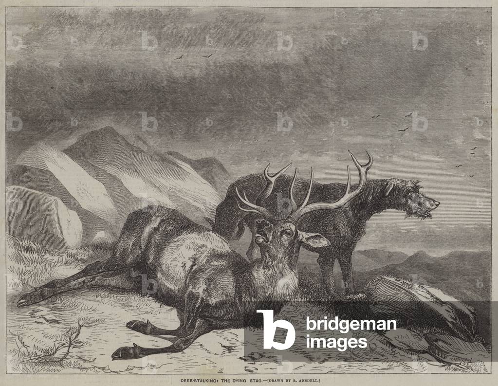 Deer-Stalking, the Dying Stag (engraving)