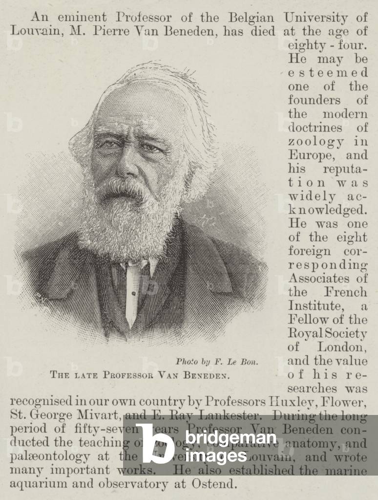The late Professor Van Beneden (engraving)