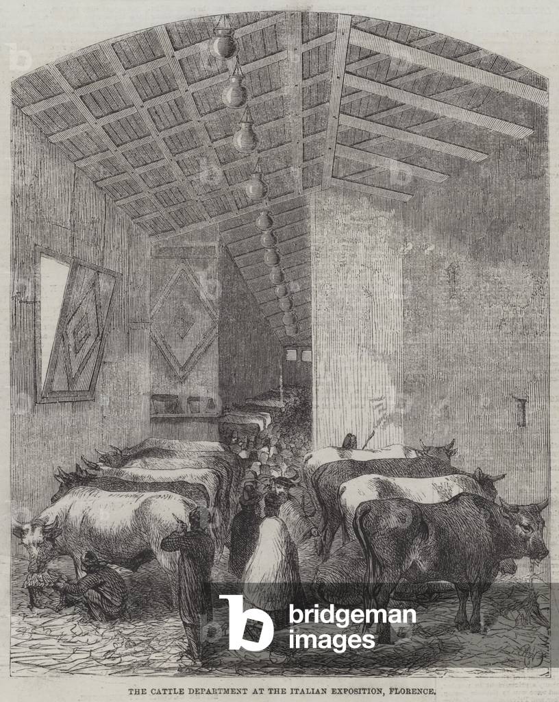The Cattle Department at the Italian Exposition, Florence (engraving)