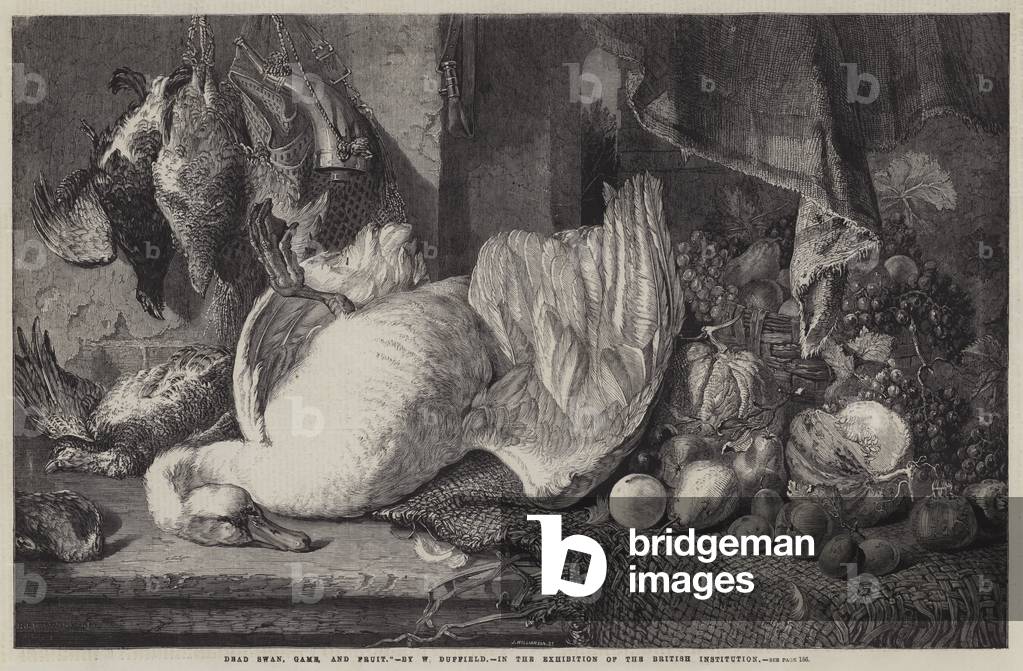Dead Swan, Game, and Fruit (engraving)
