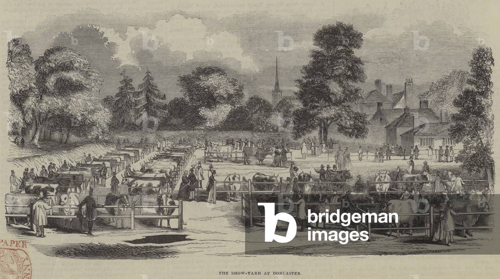 The Show Yard, Doncaster (engraving)