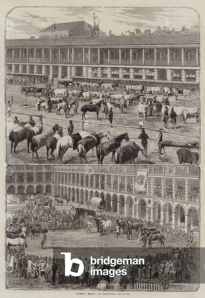 Cattle Show at Halifax (engraving)