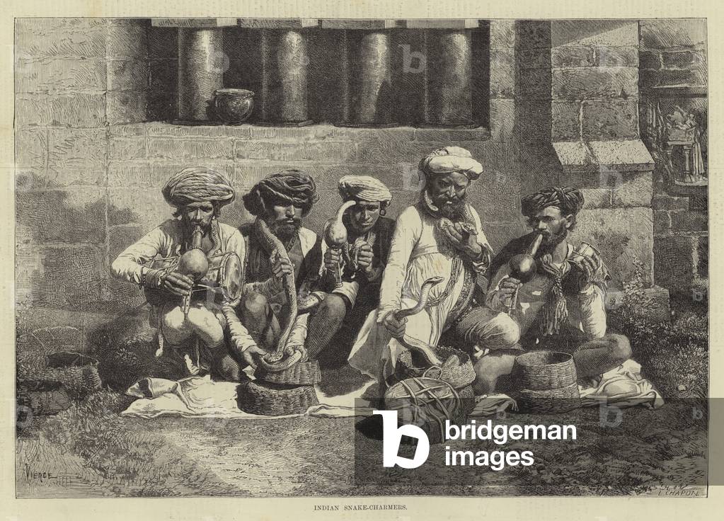 Indian snake-charmers (engraving)