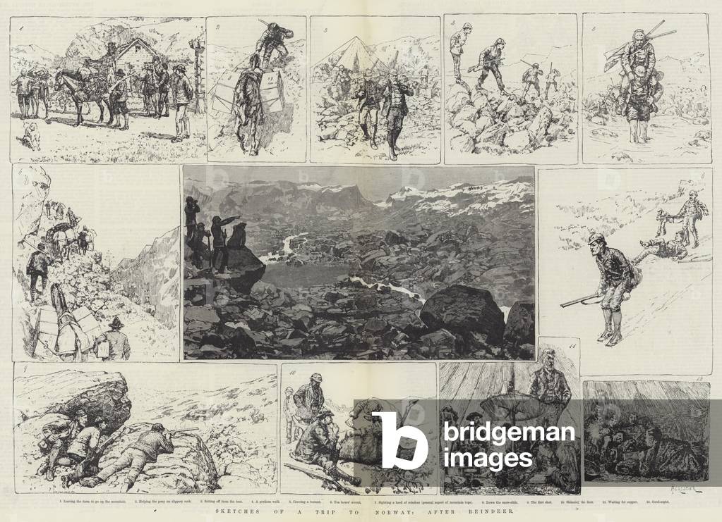 Sketches of a Trip to Norway, after Reindeer (engraving)