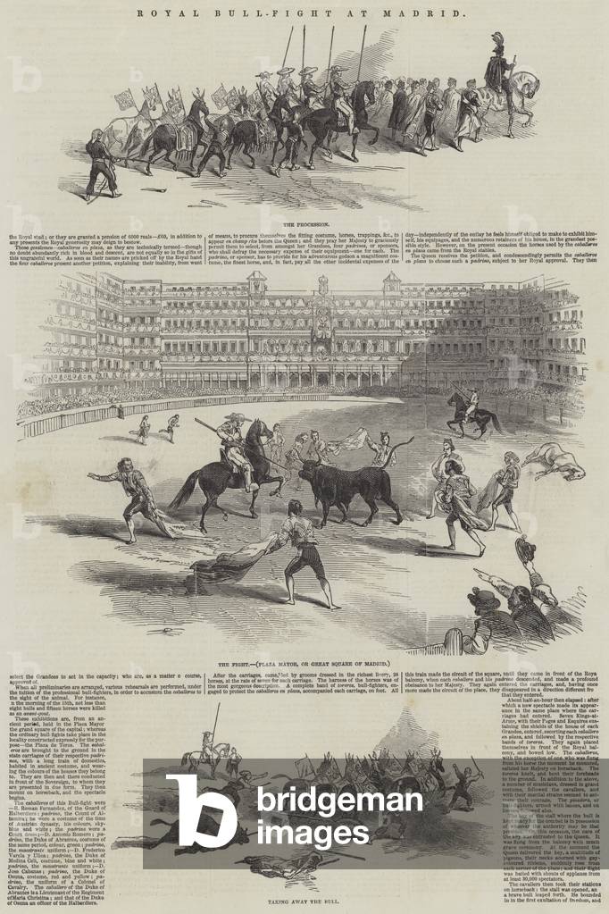 Royal Bull-Fight at Madrid (engraving)